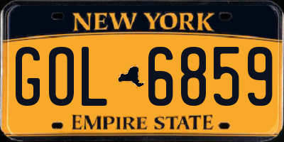 NY license plate GOL6859