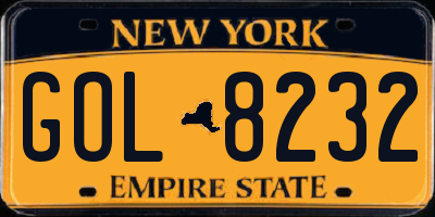 NY license plate GOL8232