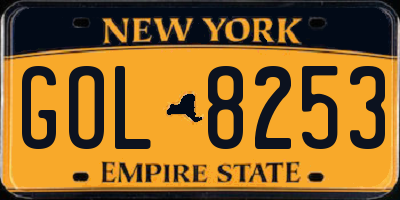 NY license plate GOL8253