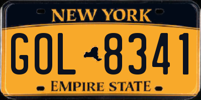 NY license plate GOL8341