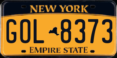 NY license plate GOL8373