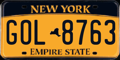 NY license plate GOL8763
