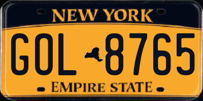 NY license plate GOL8765