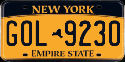 NY license plate GOL9230