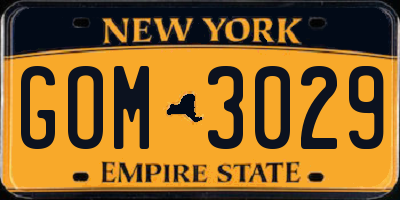 NY license plate GOM3029