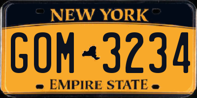 NY license plate GOM3234