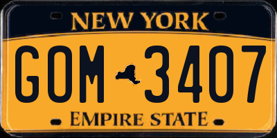 NY license plate GOM3407