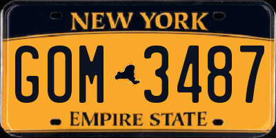 NY license plate GOM3487