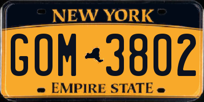 NY license plate GOM3802