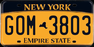 NY license plate GOM3803