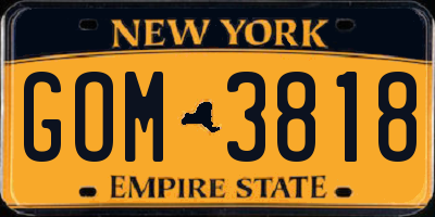 NY license plate GOM3818