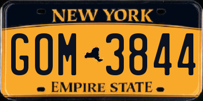 NY license plate GOM3844