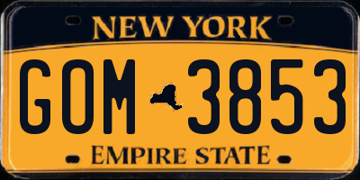 NY license plate GOM3853