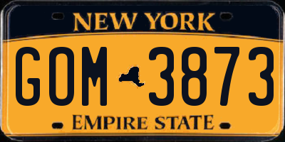NY license plate GOM3873