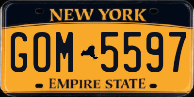 NY license plate GOM5597