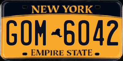 NY license plate GOM6042