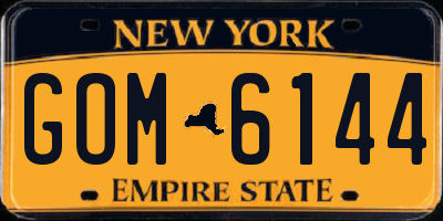NY license plate GOM6144