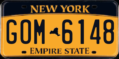 NY license plate GOM6148