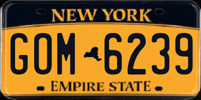 NY license plate GOM6239