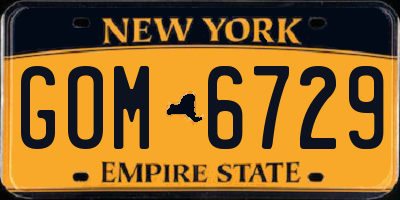 NY license plate GOM6729