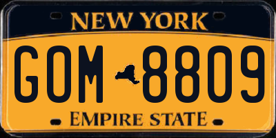 NY license plate GOM8809