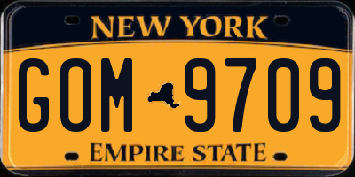NY license plate GOM9709