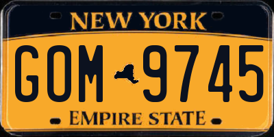NY license plate GOM9745
