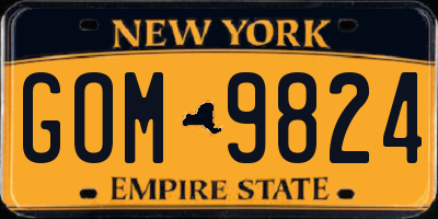 NY license plate GOM9824