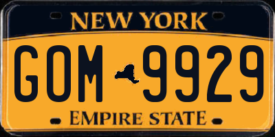 NY license plate GOM9929