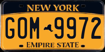 NY license plate GOM9972