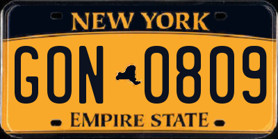 NY license plate GON0809