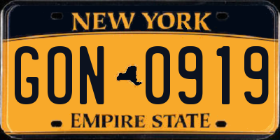NY license plate GON0919