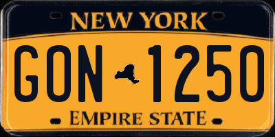 NY license plate GON1250
