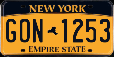 NY license plate GON1253