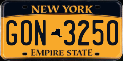NY license plate GON3250