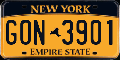 NY license plate GON3901