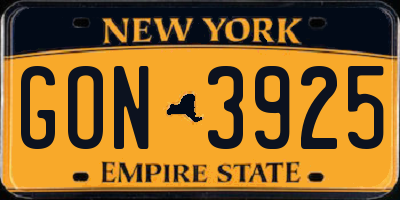 NY license plate GON3925