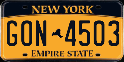 NY license plate GON4503