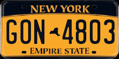 NY license plate GON4803