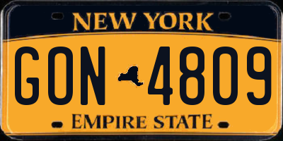 NY license plate GON4809