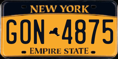 NY license plate GON4875