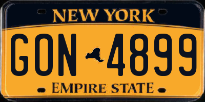 NY license plate GON4899