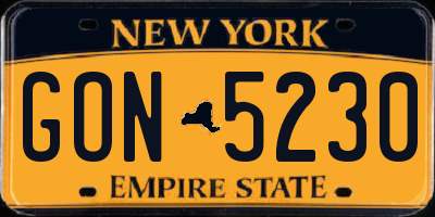 NY license plate GON5230