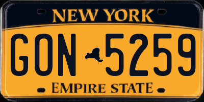 NY license plate GON5259