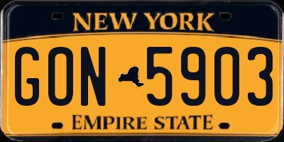 NY license plate GON5903