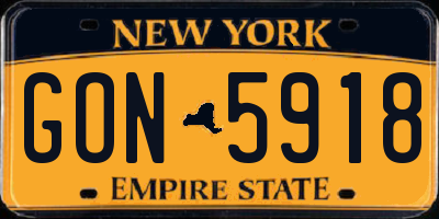 NY license plate GON5918