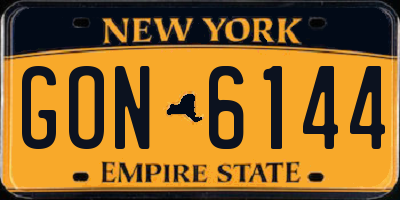 NY license plate GON6144