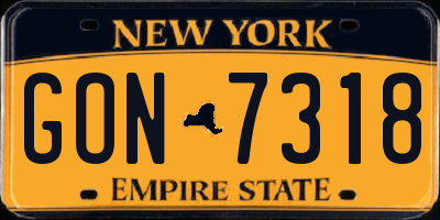 NY license plate GON7318