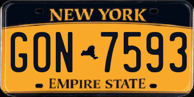 NY license plate GON7593
