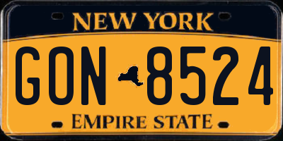NY license plate GON8524